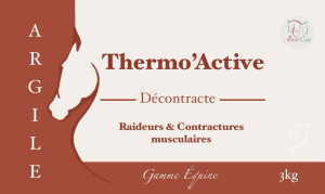 Argile - Thermo'Active - 3kg